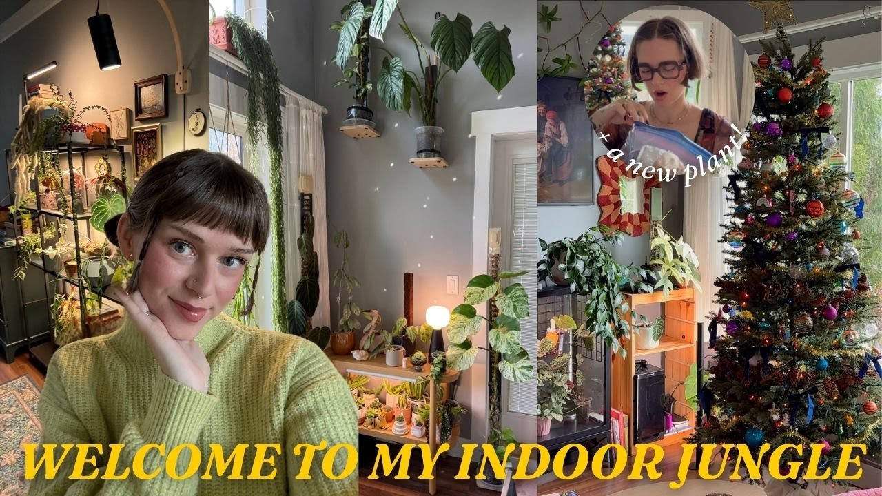 YouTube post by @wildfern for Soltech. Caption reads: we are thriving 🌿🧚‍♂️✨ november houseplant walk....