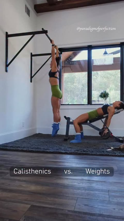 Instagram post by @paradigmofperfection for Transparent Labs. Caption reads: Calisthenics vs weights: skin the cat vs. incline....