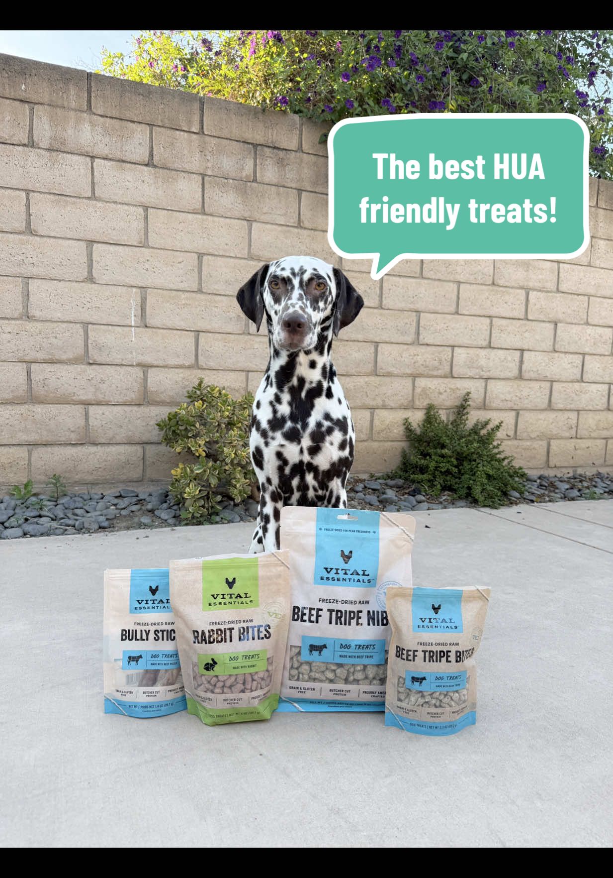 TikTok post by @henrythedal for Vital Essentials. Caption reads: [...] code “HENRYTHEDAL20” for 20% off @Vital....