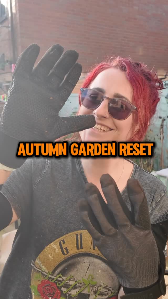 Instagram post by @the_aplotmentshire for Farmers Defense. Caption reads: Autumn reset kinda day 🍂
Clearing the dead pots,....