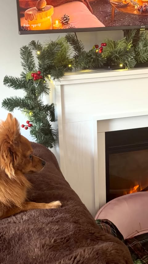 Instagram post by @naffacakes101 for AliExpress. Caption reads: Christmas with Ali Express 🎄❄️🎅❤️ This year I....