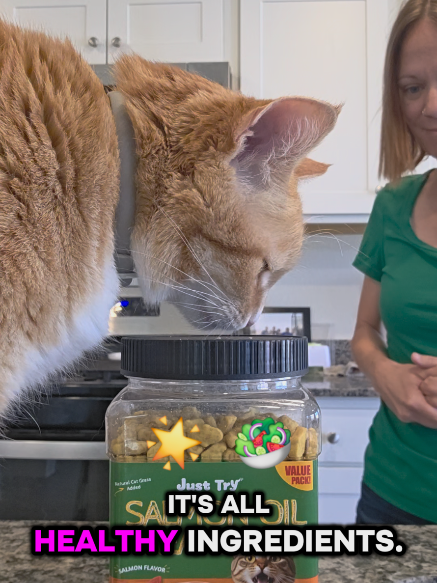 TikTok post by @jennandthepets for Just Try Pet US. Caption reads: [...] #summervibe #petlover #fyp @Just Try Pet US.
