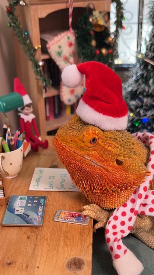 Instagram post by @whosagoodlizard for Afterpay. Caption reads: Betty Claus is gifting smarter this holiday with....