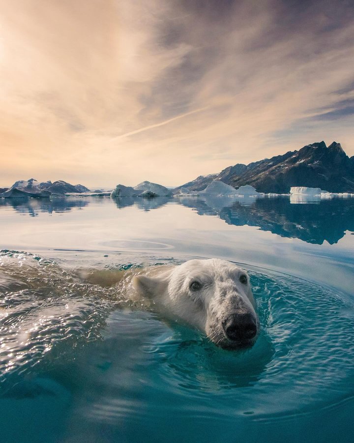 Instagram post by @donabertarelliphilanthropy for Discover Earth. Caption reads: [...] , @nautilusmag , and @discoverearth ✌🏼 📍....