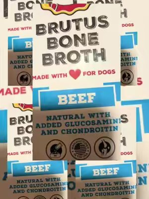 TikTok post by @pntsonfire for Brutus Broth. Caption reads: [...] #allnatural #dogsoftiktok @Brutus Broth.