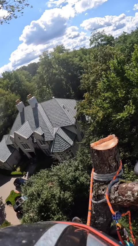 Instagram post by @zigzagman.zr for Jobber. Caption reads: [...] be the main focus. #chunksareforpunks....