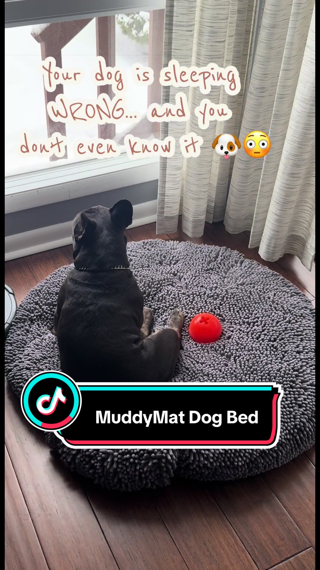 TikTok post by @bjmorris23 for Muddy Mat. Caption reads: [...] #dogbed #dogsoftiktok #petmusthaves....