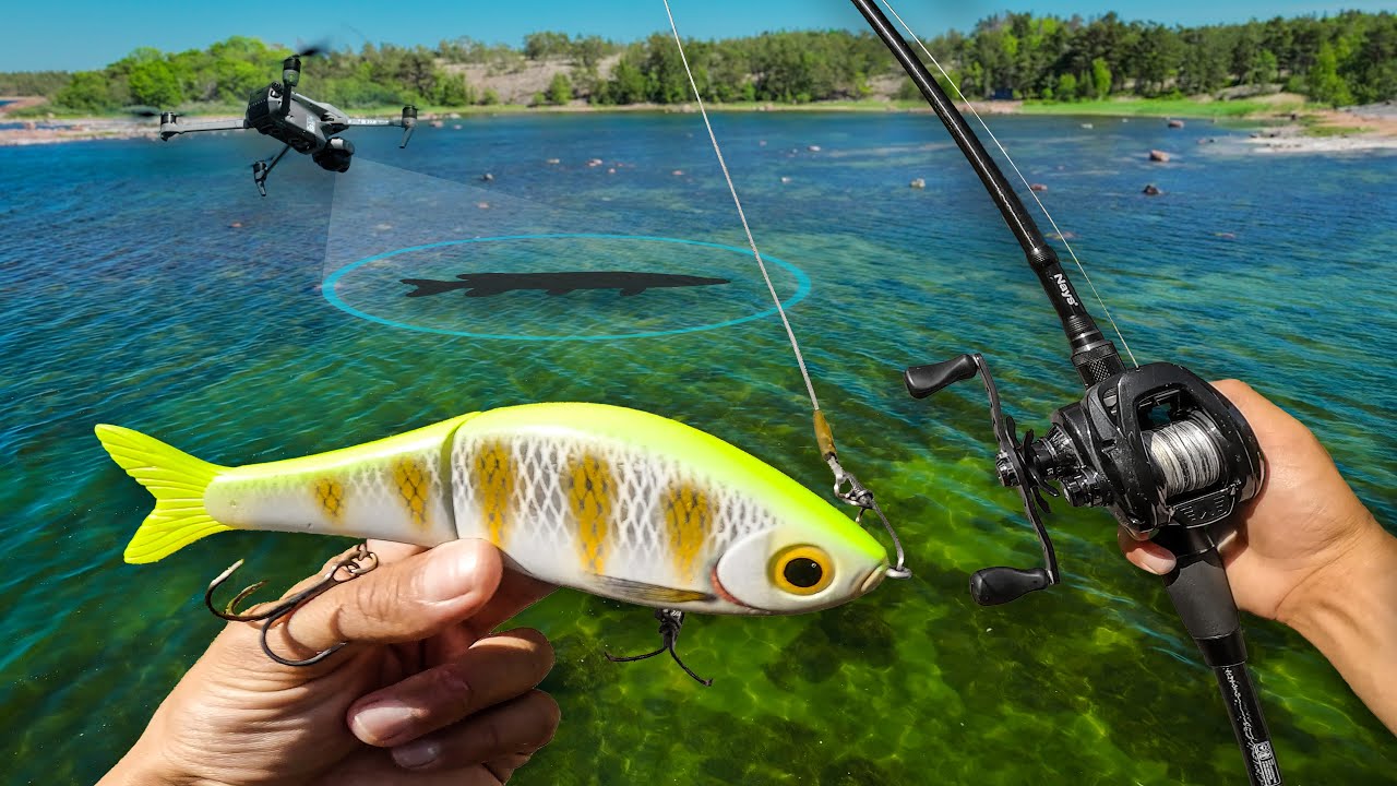 YouTube post by @Boatside for BlueBlue Fishing. Caption reads: Sight Fishing for Pike in ULTRA Clear Water… 🎣.