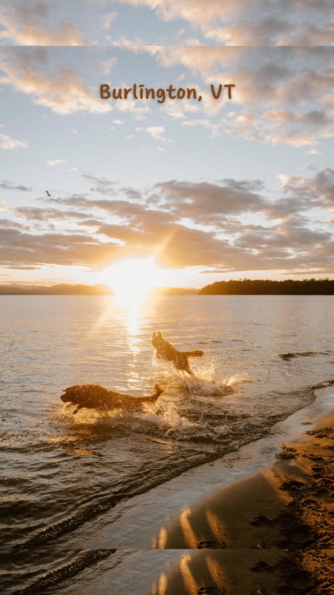 Instagram post by @foxtoller for Best Western. Caption reads: [...] an understatement. We stayed at the Best....