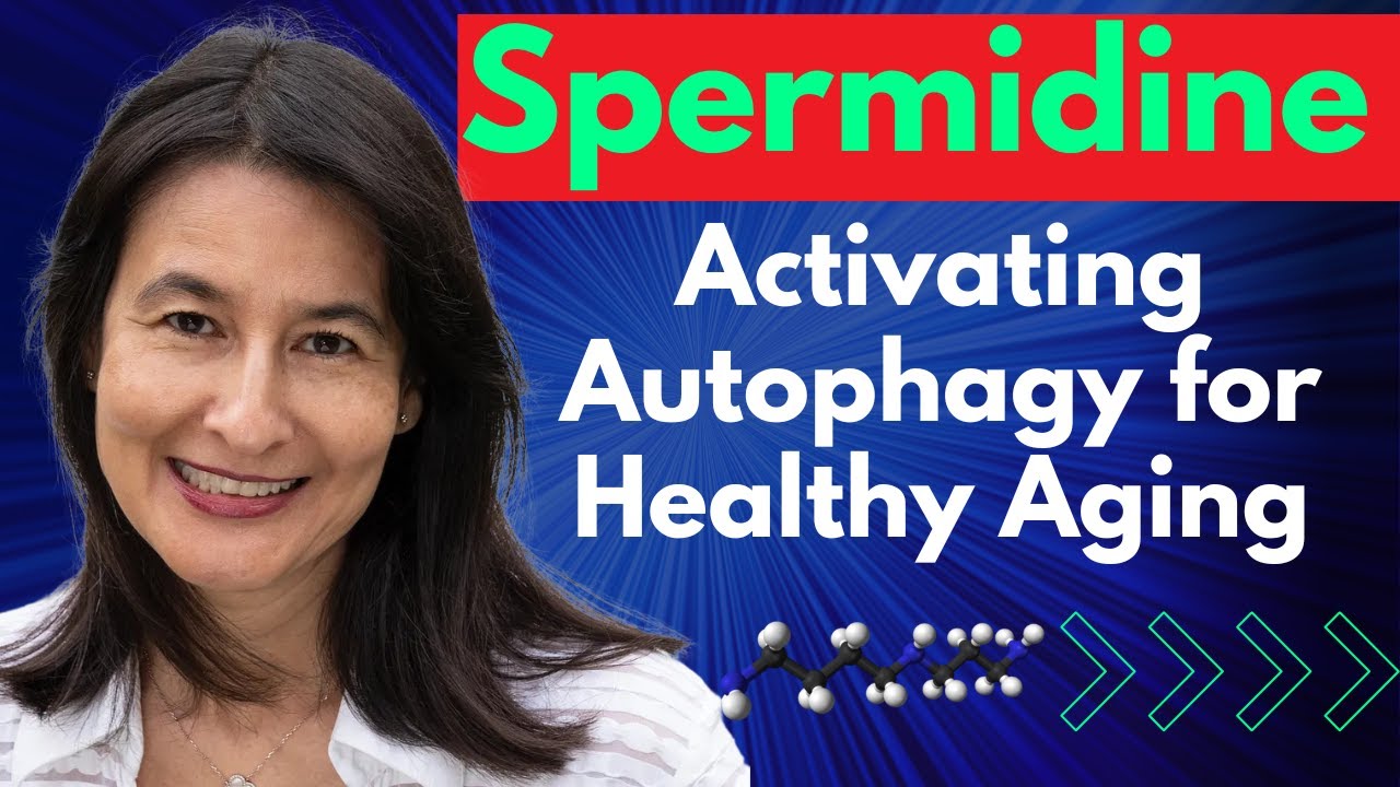 YouTube post by @ModernHealthspan for Renue By Science. Caption reads: Spermidine: Activating Autophagy for Healthy Aging....