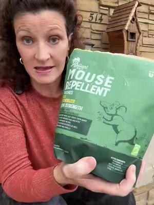 TikTok post by @christinahealthyjourney for Reliant Pet. Caption reads: [...] garage and house. These non-toxic @Reliant....