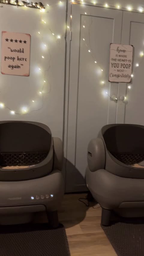 Instagram post by @fitzcapades for Neakasa. Caption reads: [...] 
Sale

Fitz loves a good deal!

Our friends....