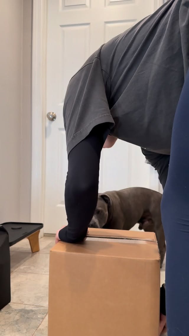 Instagram post by @enzothebluestaffordshire for Maev. Caption reads: Soon the NEW lamb recipe from @meetmaev will be....