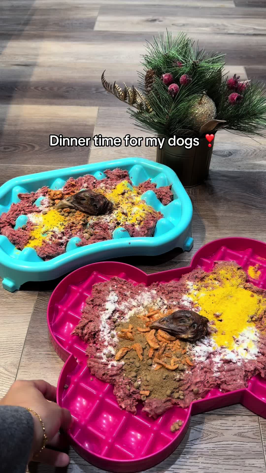 TikTok post by @thebentobabies for MYOS Pet. Caption reads: [...] treat!  Dinner featuring: @Viva Raw ....
