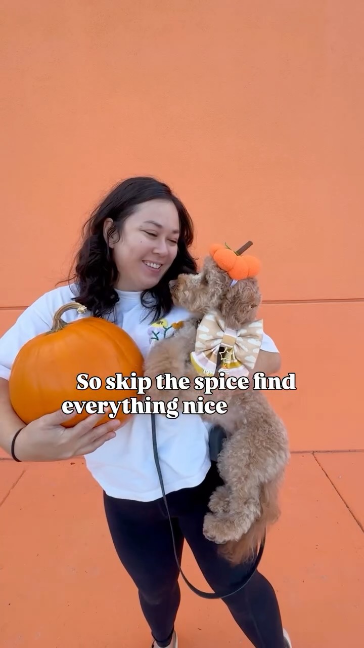 Instagram post by @sashapawtato for Pupford. Caption reads: [...] the spice, and find everything nice in....