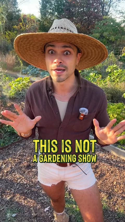 Instagram post by @redleafranch for Ferry-Morse. Caption reads: [...] miss the premiere on 2/17. Shop at....