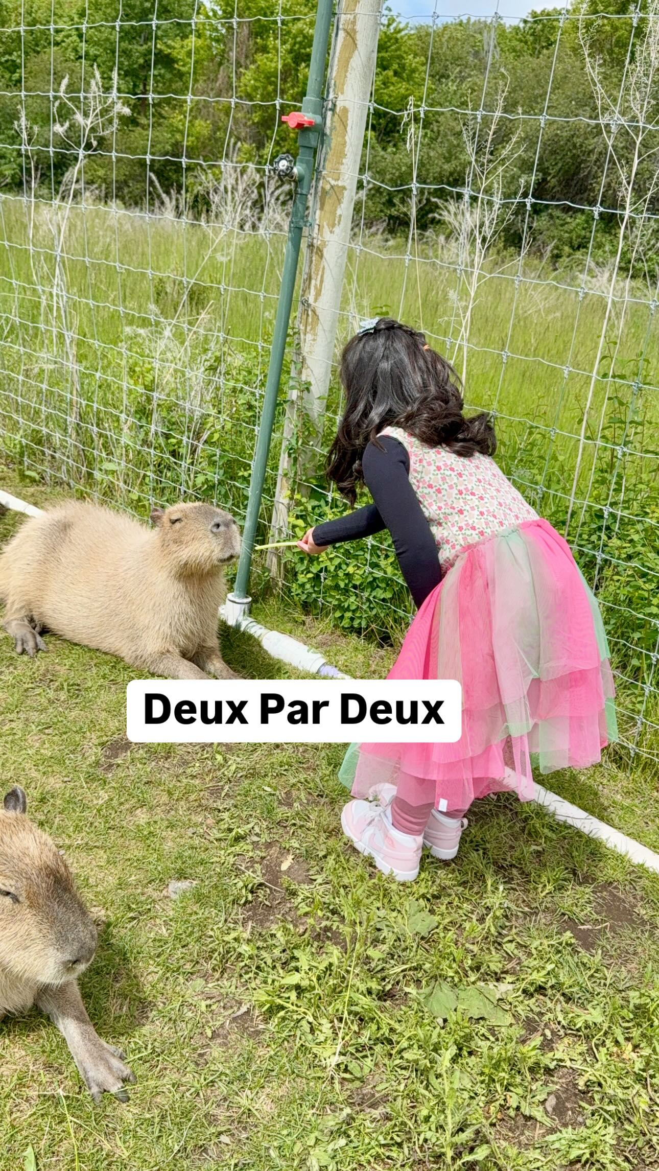 Instagram post by @nimrally for Deuxpardeux. Caption reads: Longer days , lighter layers & sweet little....