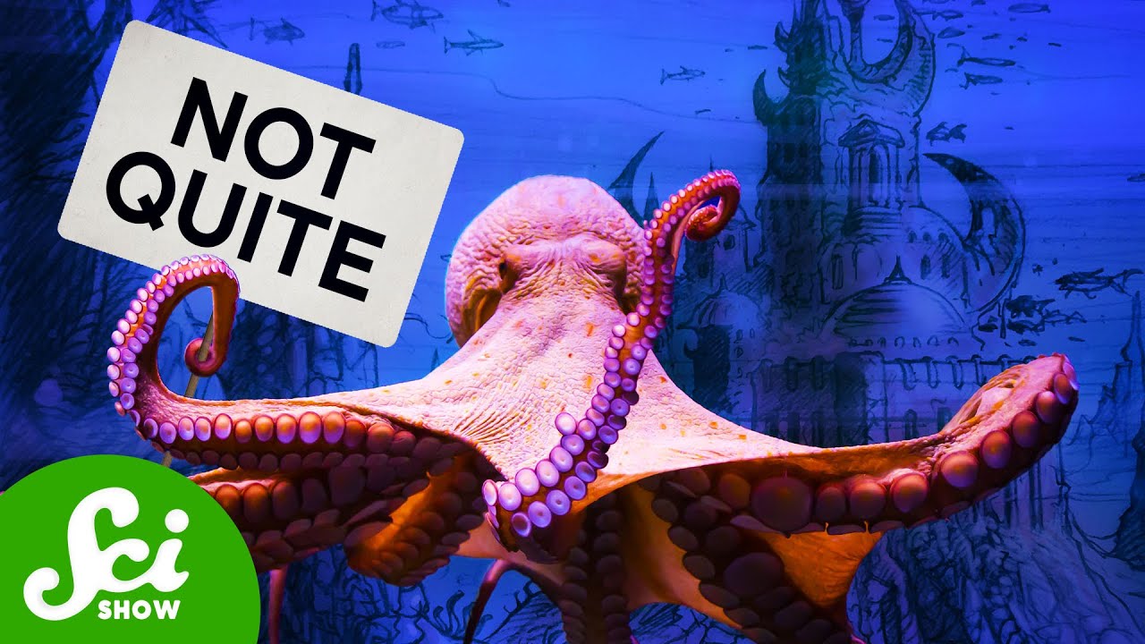 YouTube post by @SciShow for Brilliant.org. Caption reads: What The Media Got Wrong About Octopus Cities.