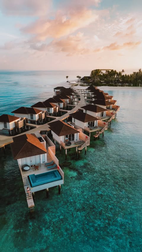 Instagram post by @janisview for Luxury Escapes. Caption reads: [...] regulatory approvals. #avanimaldives....