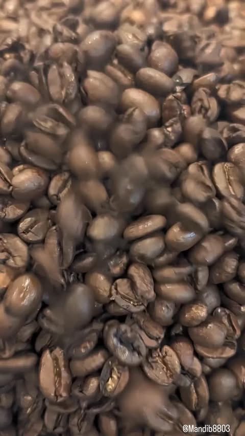 Instagram post by @mandib8803 for The Insiders DACH. Caption reads: I still feel like I'm dreaming! 💭☕ I just can't....