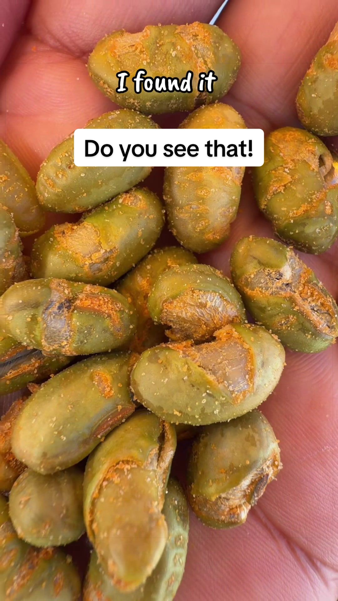 TikTok post by an influencer for The Only Bean. Caption reads: [...] flavor and high in protein. #theonlybean....