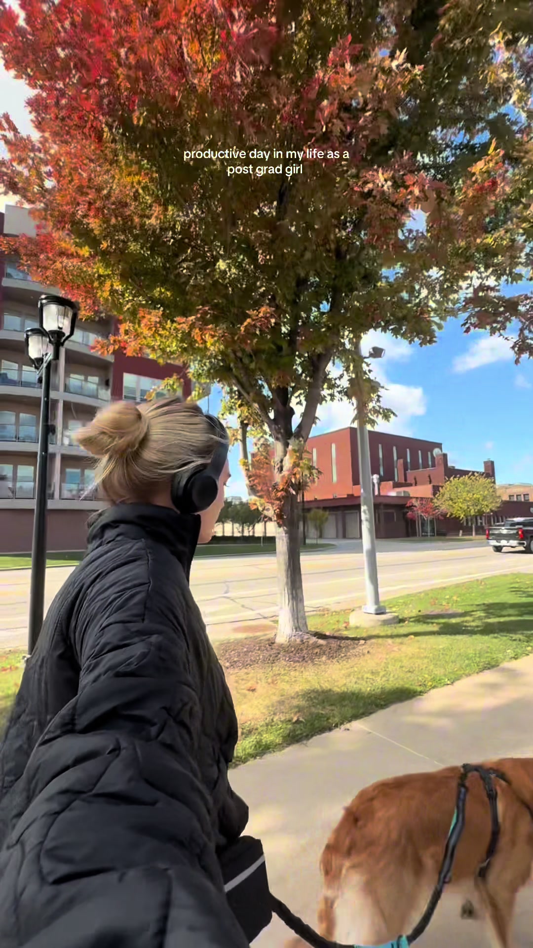 TikTok post by @peyton.koch for Siete Foods. Caption reads: [...] #postgradlife @Hills Nutrition @Siete Foods....