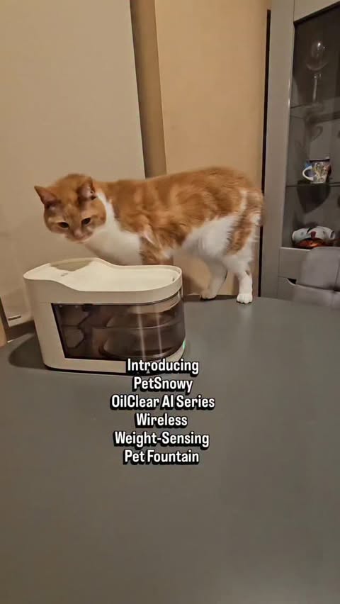 Instagram post by @timon280321 for PetSnowy. Caption reads: [...] smart pet water fountain from....