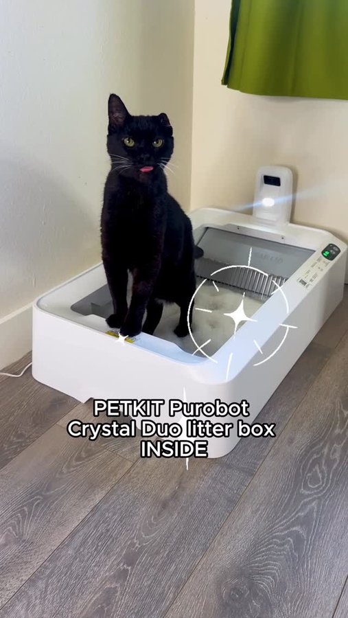 Instagram post by @one_eared_uno for Petkit. Caption reads: [...] a smart, self-cleaning litterbox 😻....