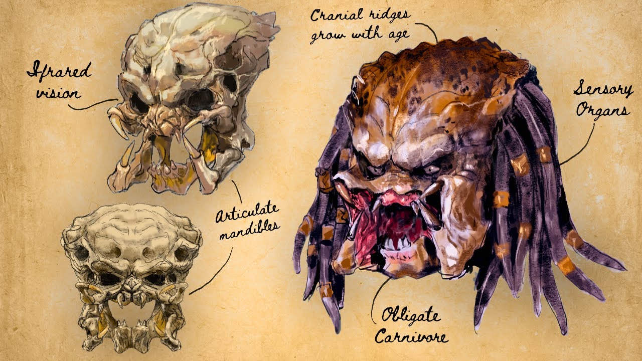 YouTube post by @ThoughtPotato for World Anvil. Caption reads: The Disturbing Biology of THE PREDATOR | Yautja....