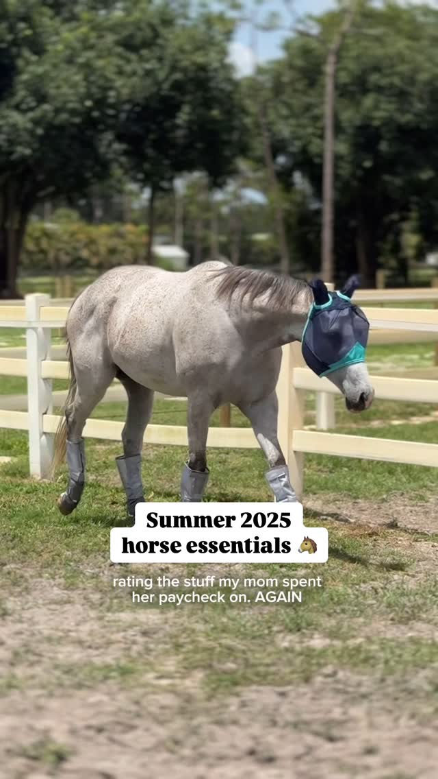 Instagram post by @equestlana for Corro Shop. Caption reads: Summer 2025 horse essentials 🐴 rated by Mousse....