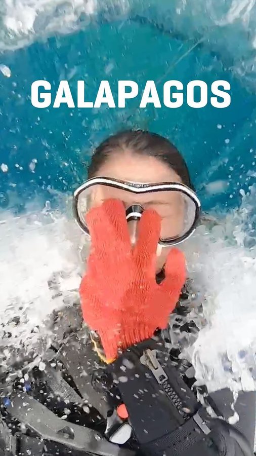 Instagram post by @tabithalipkin for Scuba Diving. Caption reads: Why just watch wildlife from land?

If you're ever....