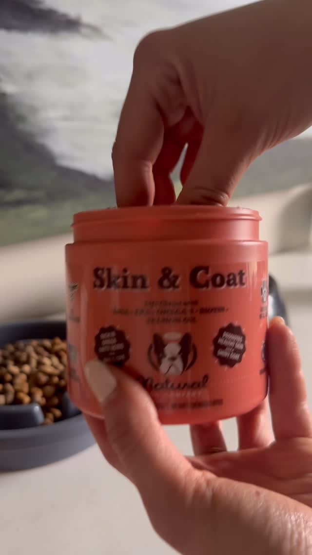 Instagram post by @gsp.sissys for Natural Dog Company. Caption reads: [...] happy pups ✨ That’s why I add Natural Dog....