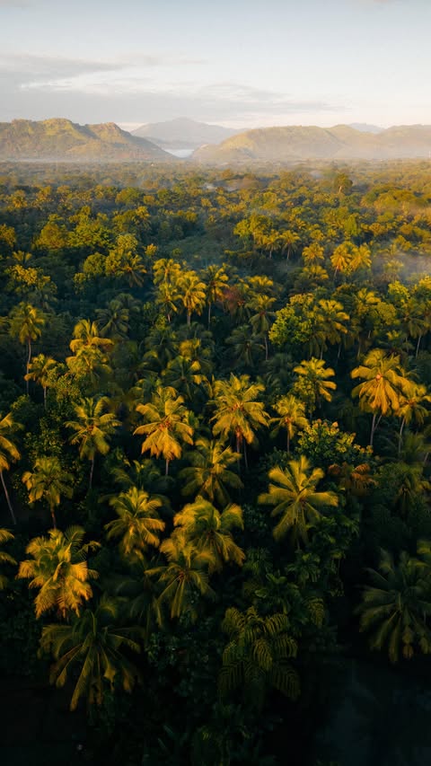 Instagram post by @cam_snaps for Contiki. Caption reads: [...] my favourite places in the world with....