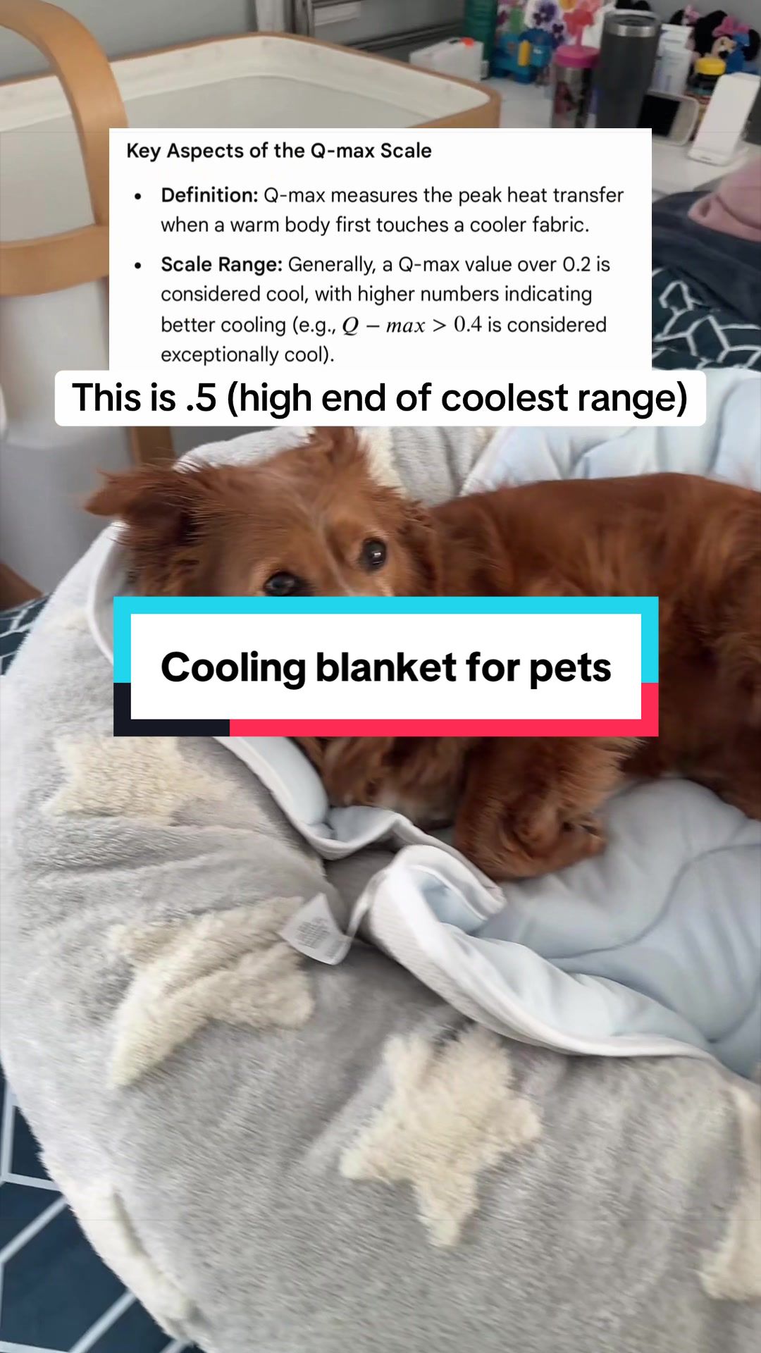TikTok post by @steamyfinds for Lesure Pet. Caption reads: [...] #tiktokshopcreatorpicks #summervibes @Lesure....