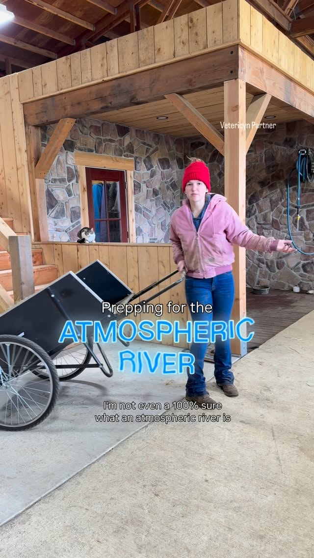 Instagram post by @doublezfarm for Vetericyn. Caption reads: [...] the wet weather issues have returned.....