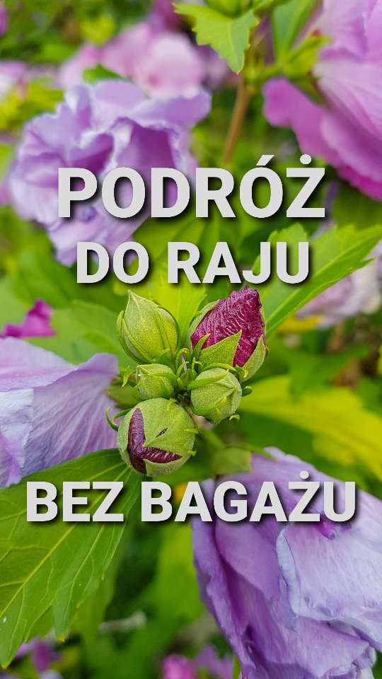 Instagram post by @w_kadrach_natury for FLOSLEK. Caption reads: Witajcie Kochani.

Dziś pokażę Wam zawartość boxu....