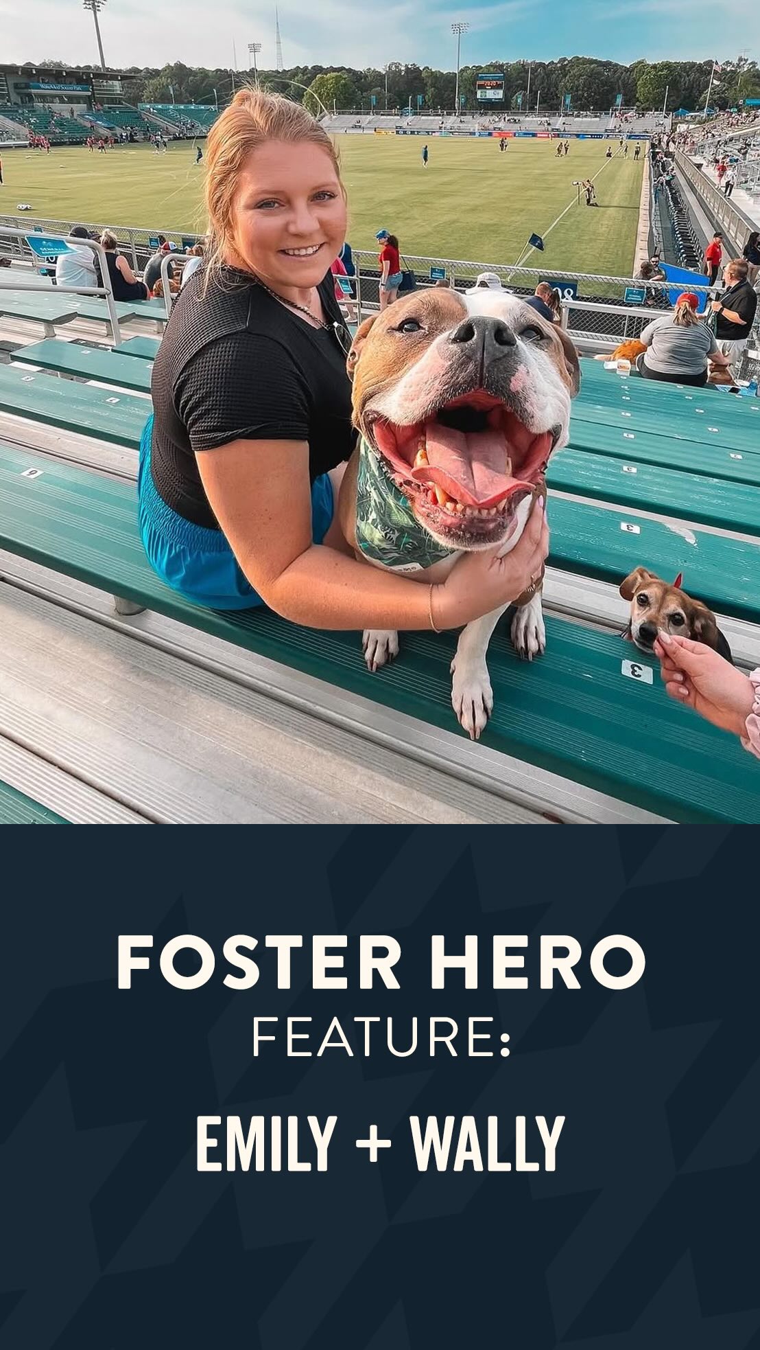 Instagram post by @wally_the_pit for Grounds & Hounds Coffee Co.. Caption reads: Meet Emily & @wally_the_pit, a true foster hero....