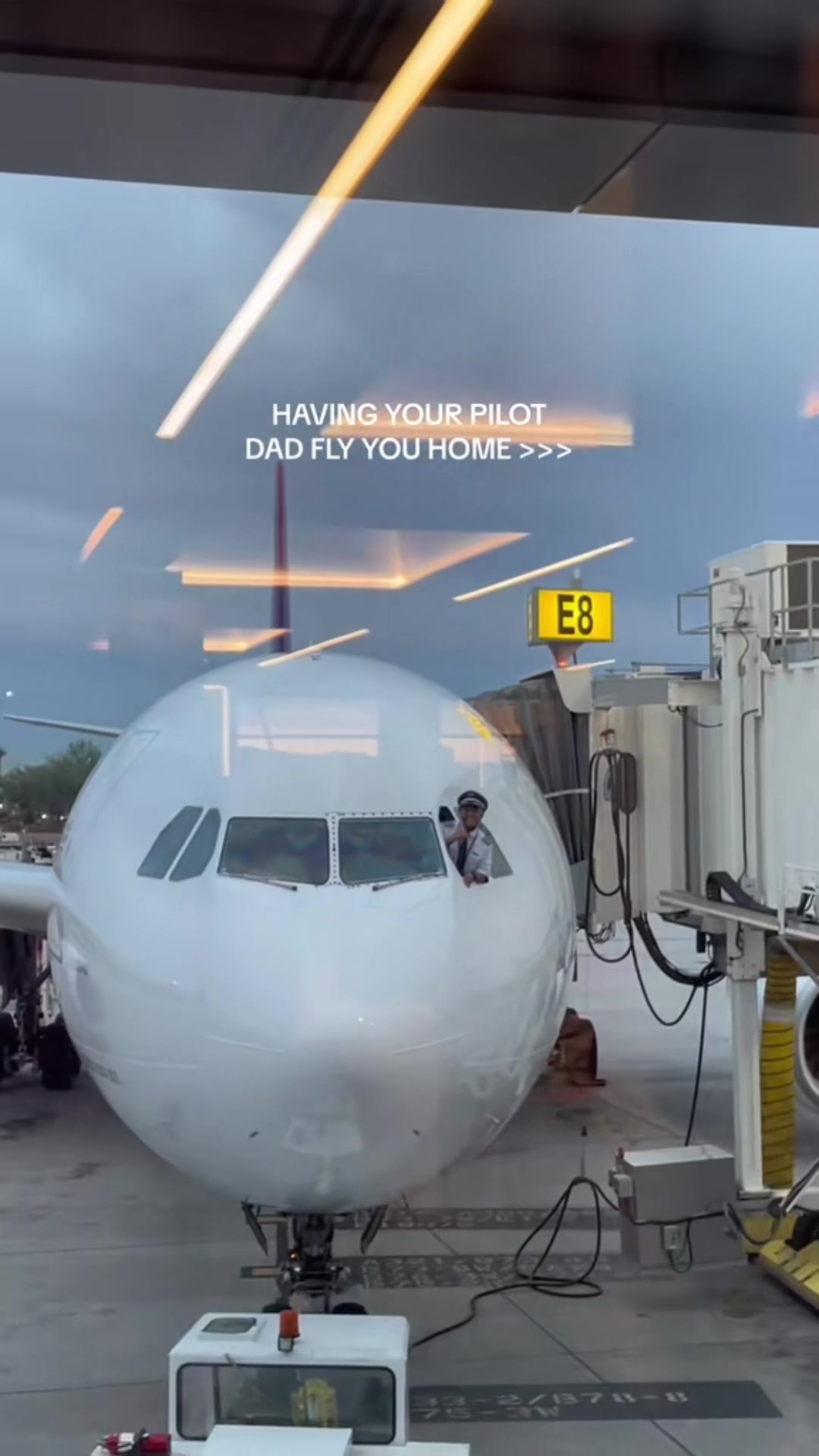 TikTok post by @alexisdimaya for Hawaiian Airlines. Caption reads: a hui hou thank you for an amazing 95 yrs HA -....