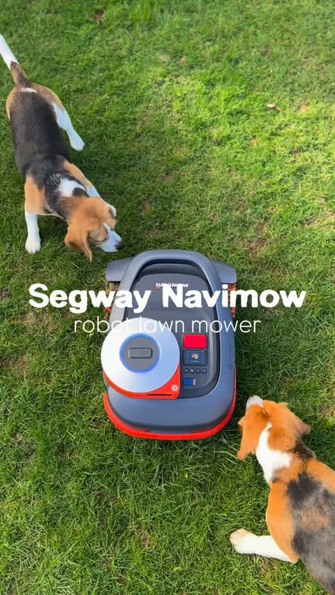 Instagram post by @archie.the_beagle for Segway Navimow. Caption reads: ad 🏡 Archie & Louis have said that the @navimow....