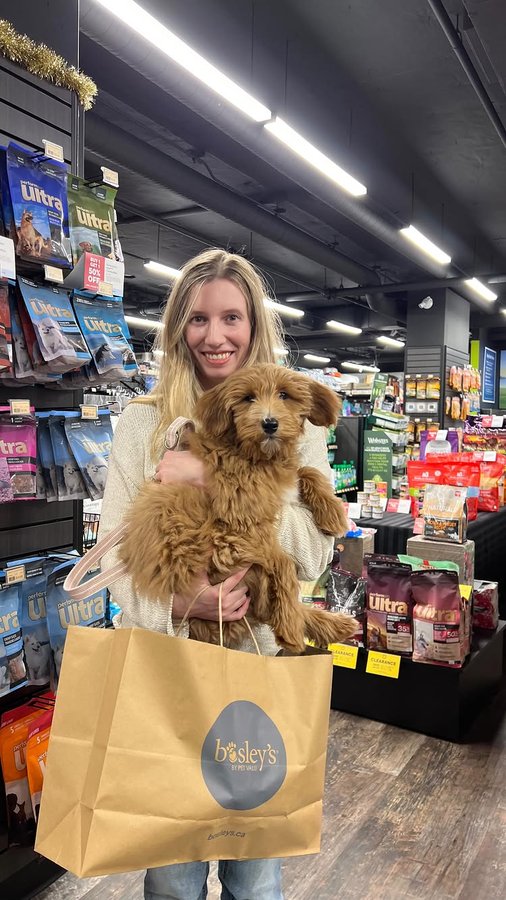 Instagram post by @oceanus_adventure for Pet Valu. Caption reads: The last clip of Winnie has us giggling. 😂 Winnie....