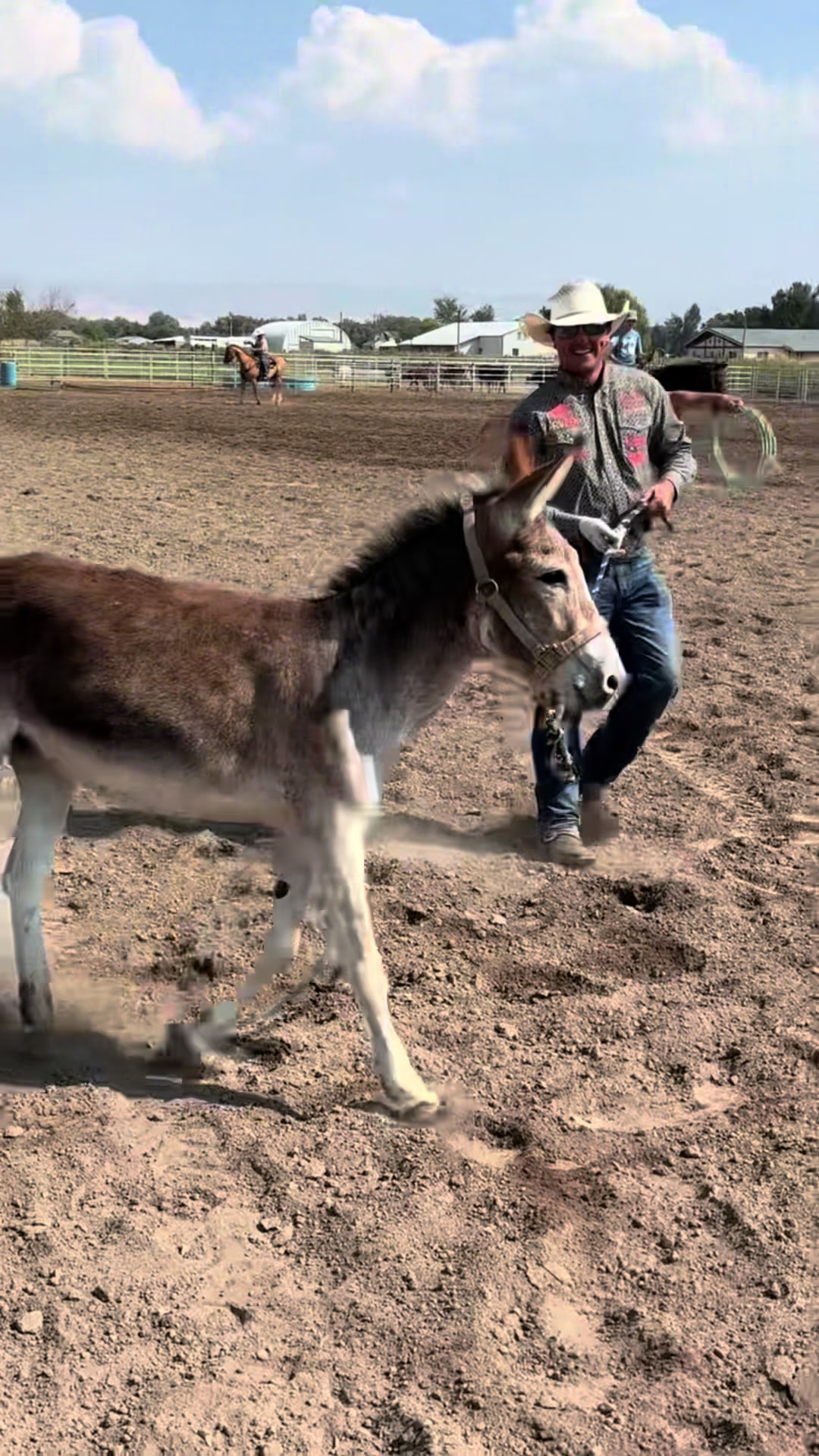TikTok post by @tylerwadeteamroping for Resistol. Caption reads: [...] @Wesleythorp1. The man’s got jokes. ....