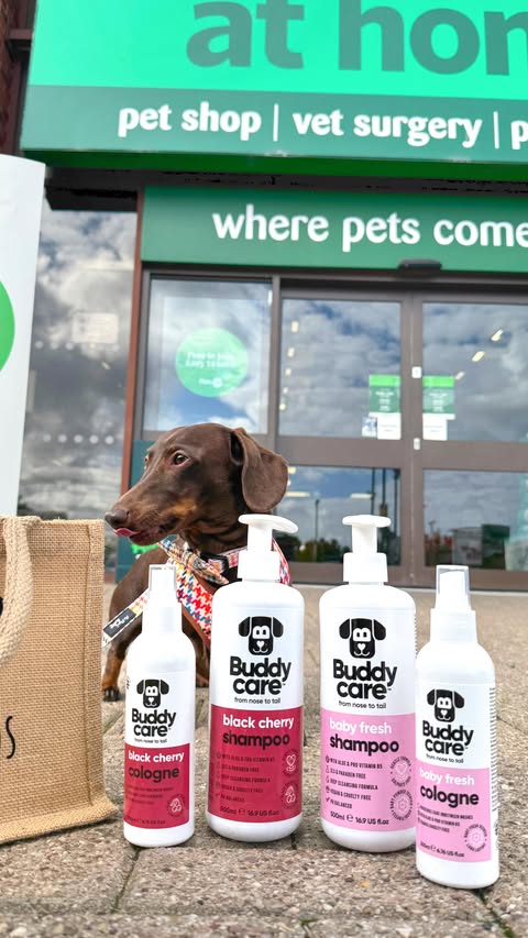 Instagram post by @frankie_dachshund03 for Buddycare Grooming. Caption reads: 🤫🕵️‍♂️🐾
SECRET MISSION COMPLETE
We were sent on....