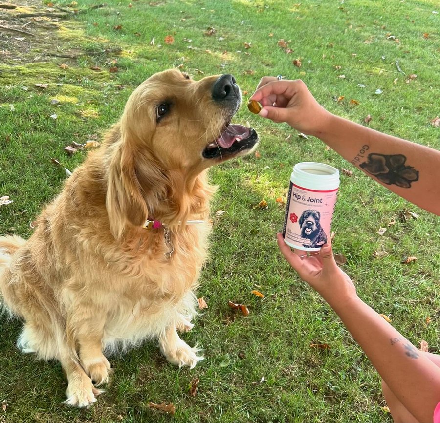 Instagram post by @farm_life_with_court for Pupfluence. Caption reads: [...] healthy AND yummy! 🐾 #ChewChallenge....