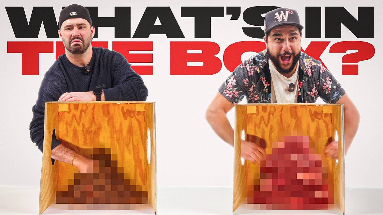 YouTube post by @SantagatoStudios for HEATONIST. Caption reads: What's In The Box Challenge?! | Facing Our Fears!.