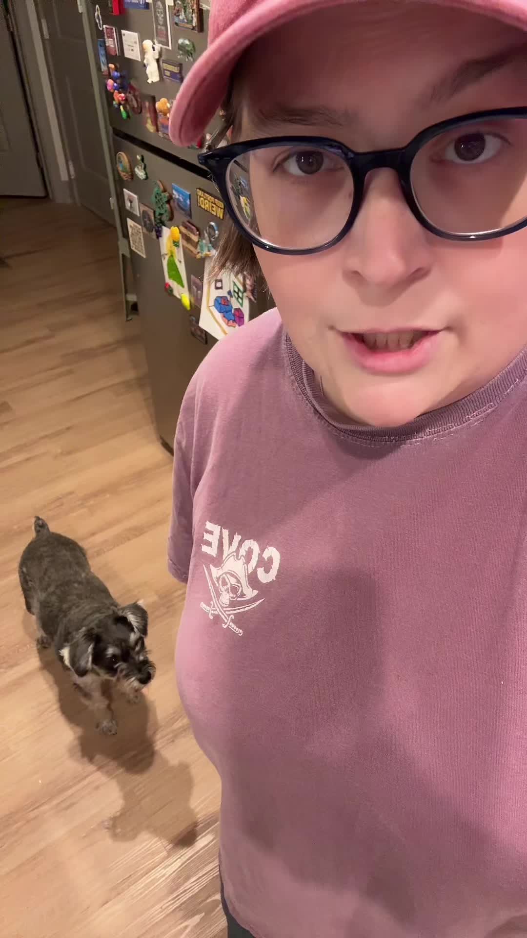 TikTok post by @rawr_its_paige for Zesty Paws. Caption reads: Goose has gone from eating dry kibble, to soaked....