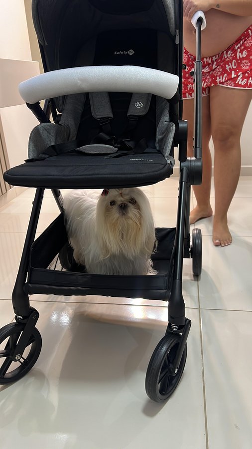 Instagram post by @dicasdemadamee for Safety 1st. Caption reads: O carro 0km da baby Ayla chegouuu 🥳🤩

Modelo:....