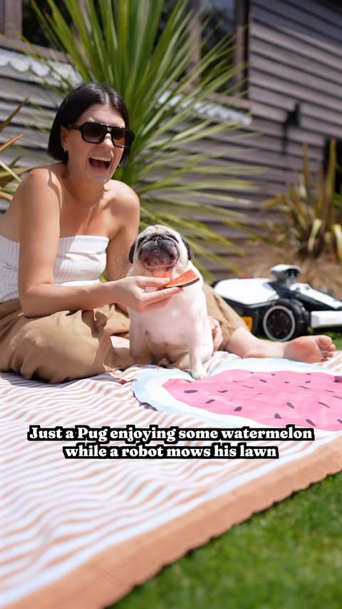 Instagram post by @thepuggysmalls for Mammotion Tech. Caption reads: [...] 🤪 The Luba Mini 2 by @mammotionuk....