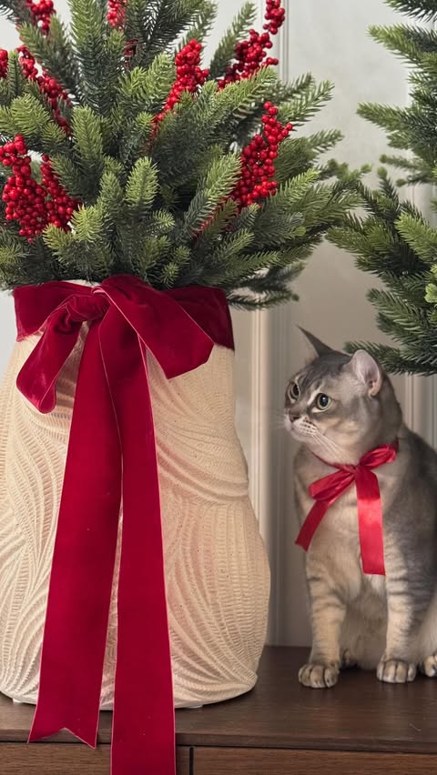 Instagram post by @radleigh_house for Yaheetech. Caption reads: Ad | Viral mini Christmas trees! 🌲🎄 

They are....