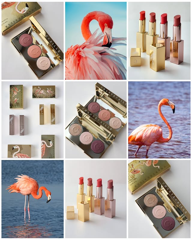 Instagram post by @margo.beauty.edit for Chantecaille. Caption reads: The Chantecaille Spring Flamingo Collection 🦩✨....
