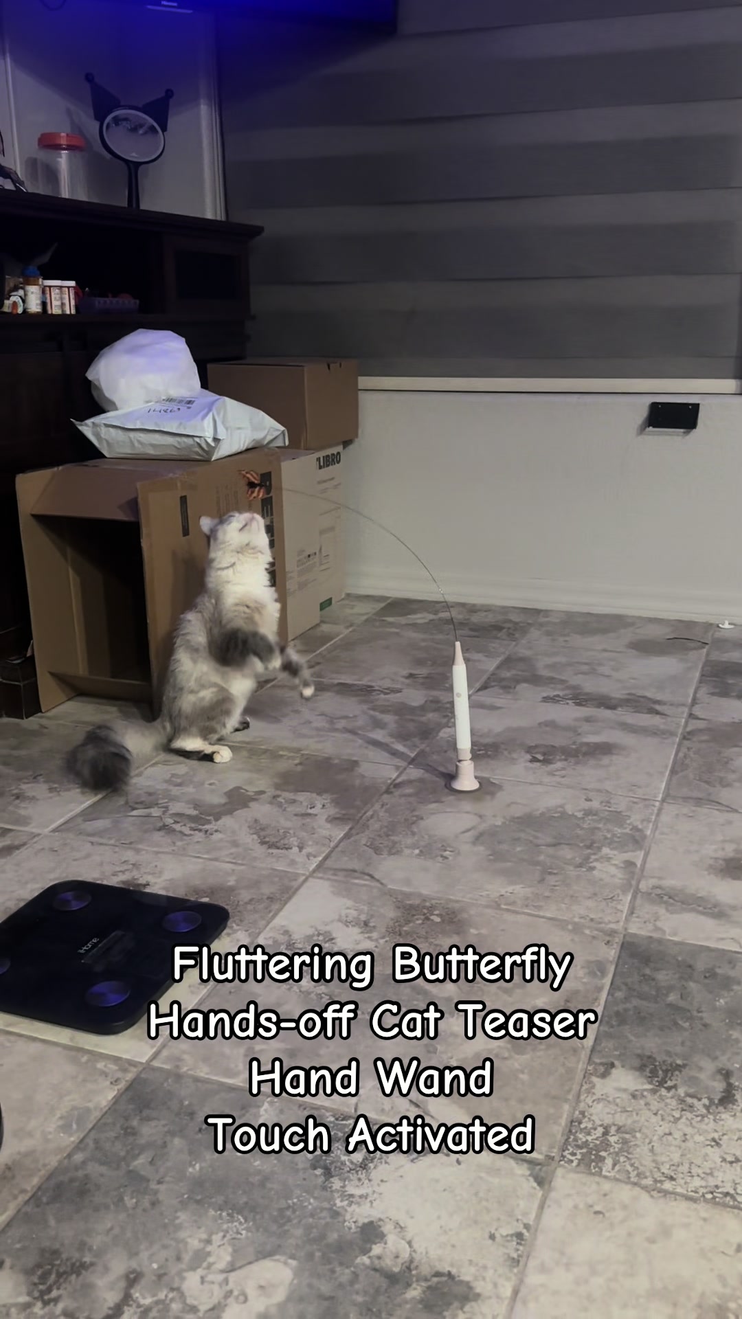 TikTok post by @marysun._ for Potaroma. Caption reads: [...] #cat #cattok #cattoys #fyf @Potaroma Pets.
